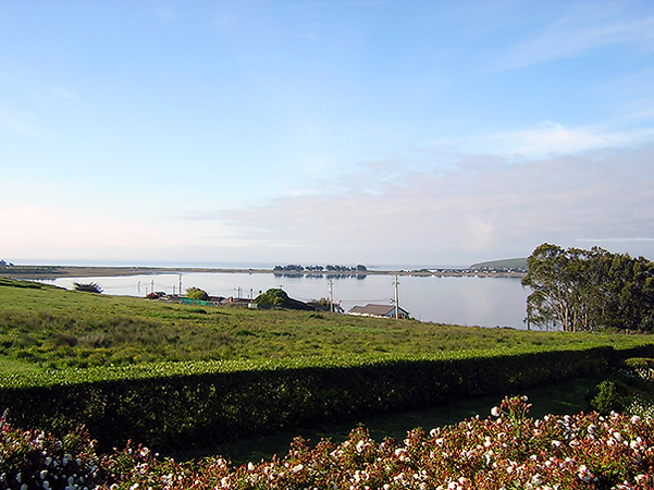 Bodega Bay morning