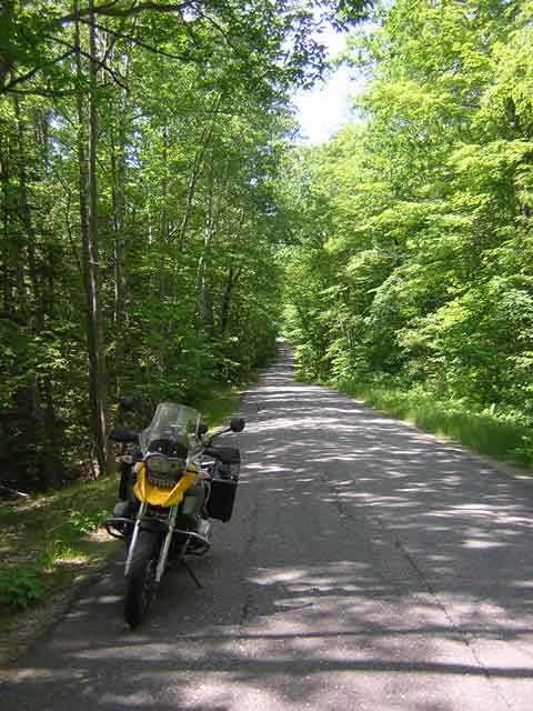 tree tunnel near whitefield